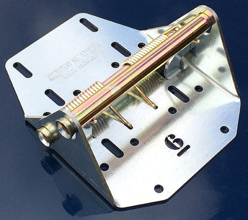 Double End Hinge; Two Hinges Side by Side (Call to Order)